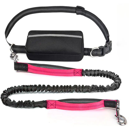 PawGo™ Hands-Free Leash – Run, Walk & Store with Ease