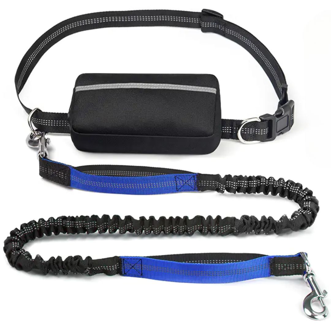 PawGo™ Hands-Free Leash – Run, Walk & Store with Ease