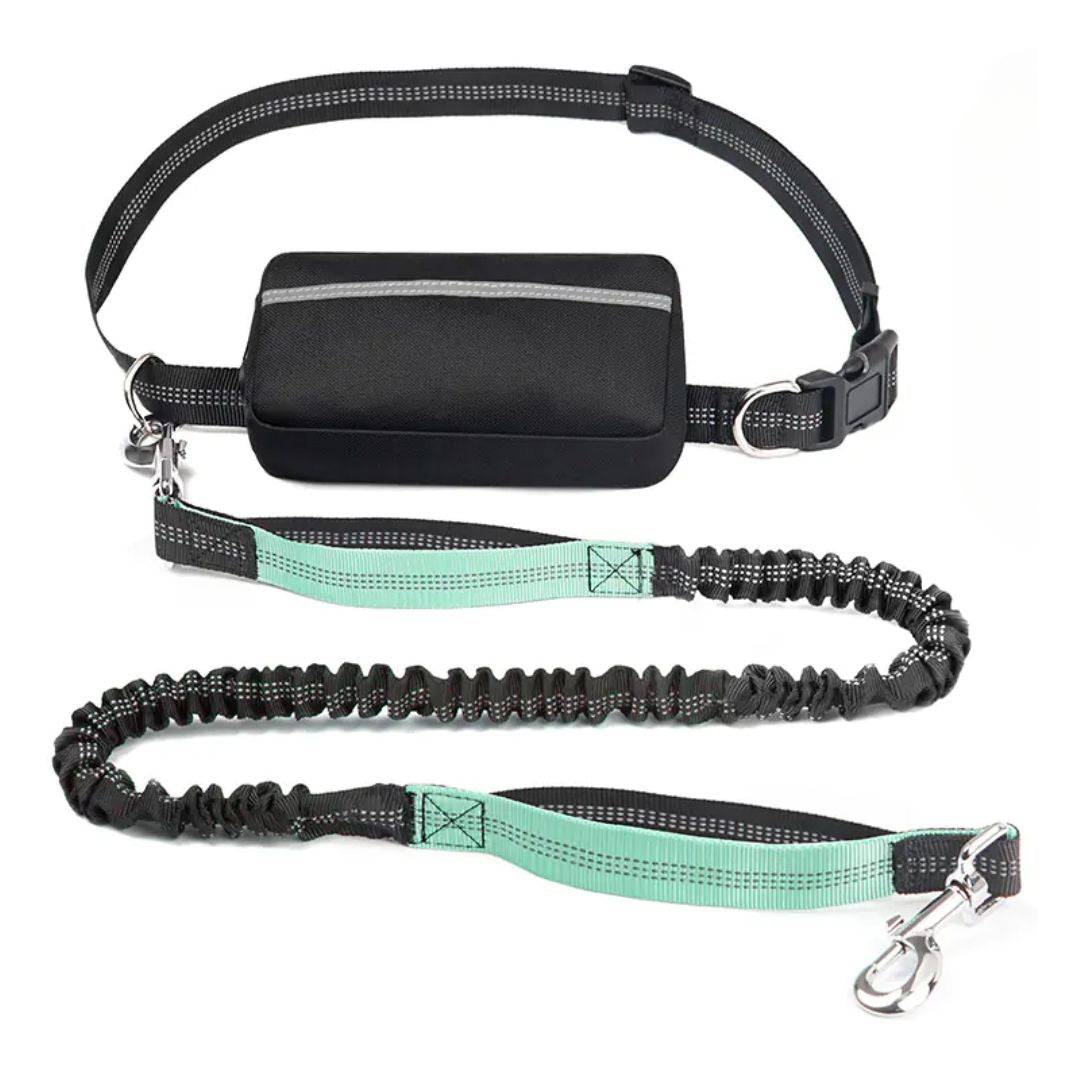 PawGo™ Hands-Free Leash – Run, Walk & Store with Ease