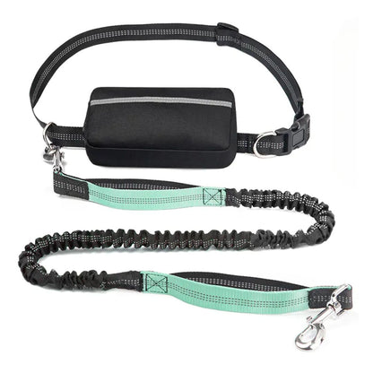 PawGo™ Hands-Free Leash – Run, Walk & Store with Ease