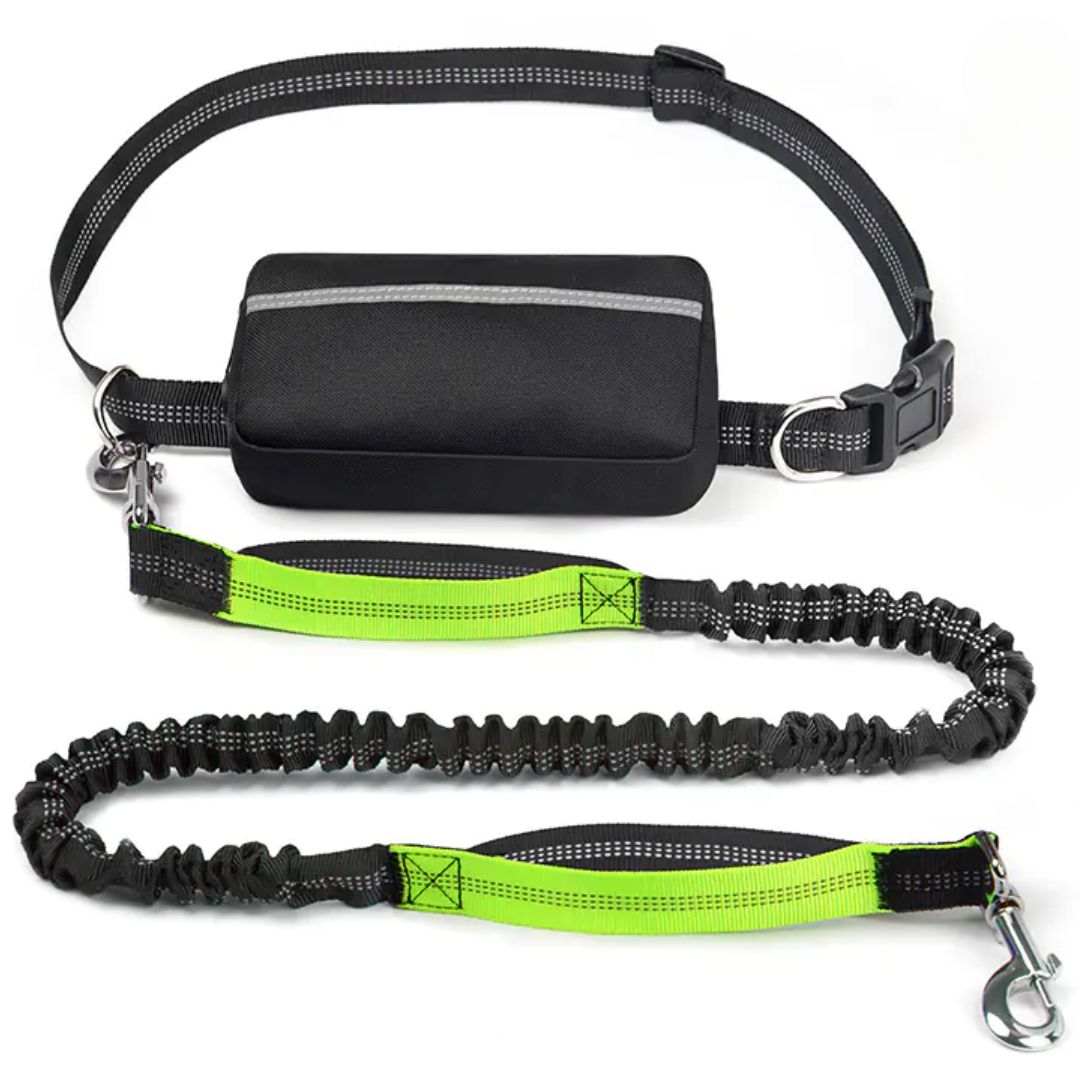 PawGo™ Hands-Free Leash – Run, Walk & Store with Ease