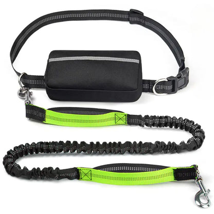 PawGo™ Hands-Free Leash – Run, Walk & Store with Ease