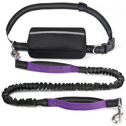 PawGo™ Hands-Free Leash – Run, Walk & Store with Ease