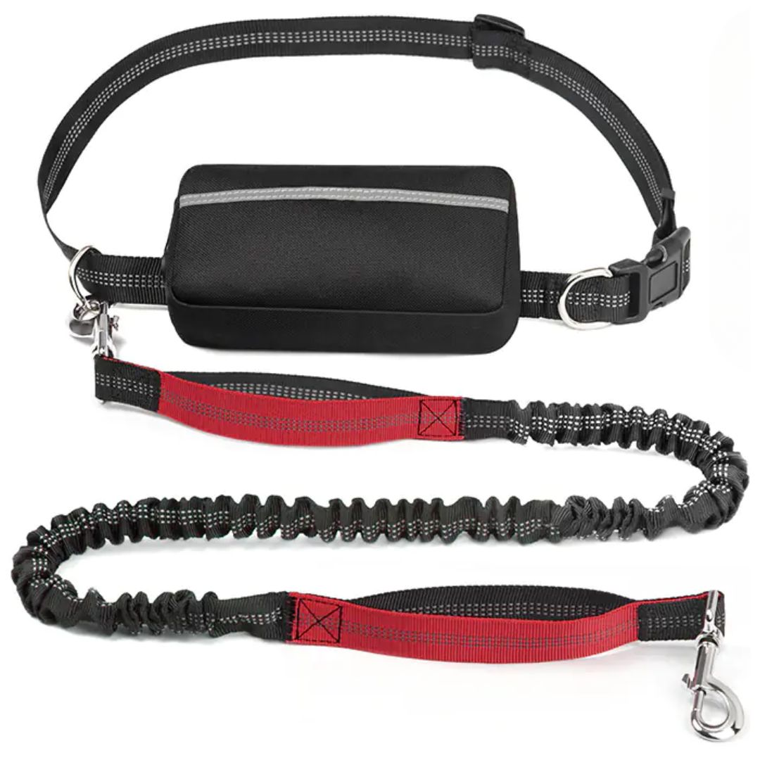 PawGo™ Hands-Free Leash – Run, Walk & Store with Ease
